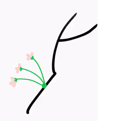 cherry.png