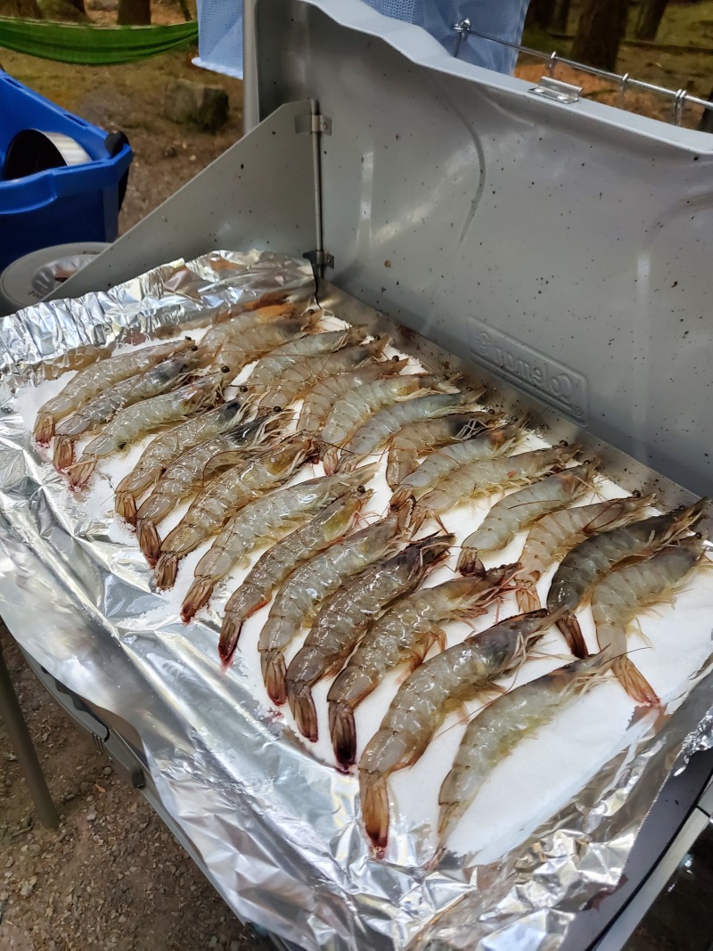 20230722_191537.jpg